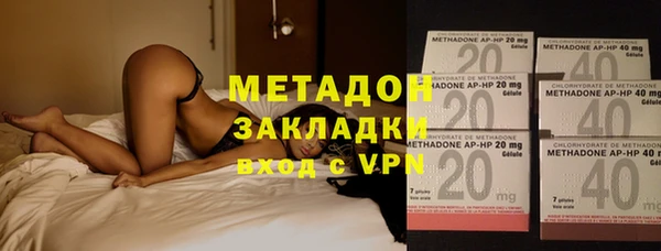 дживик Ельня