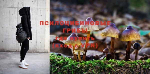 кокаин перу Дмитриев