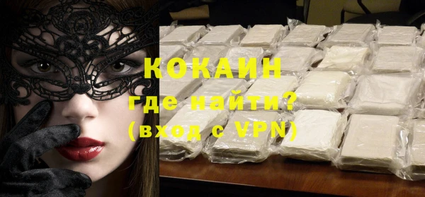 дживик Ельня