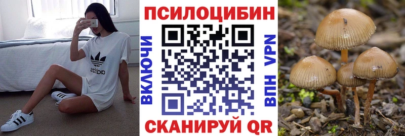Купить  Новое Девяткино  Псилоцибиновые грибы Cubensis 